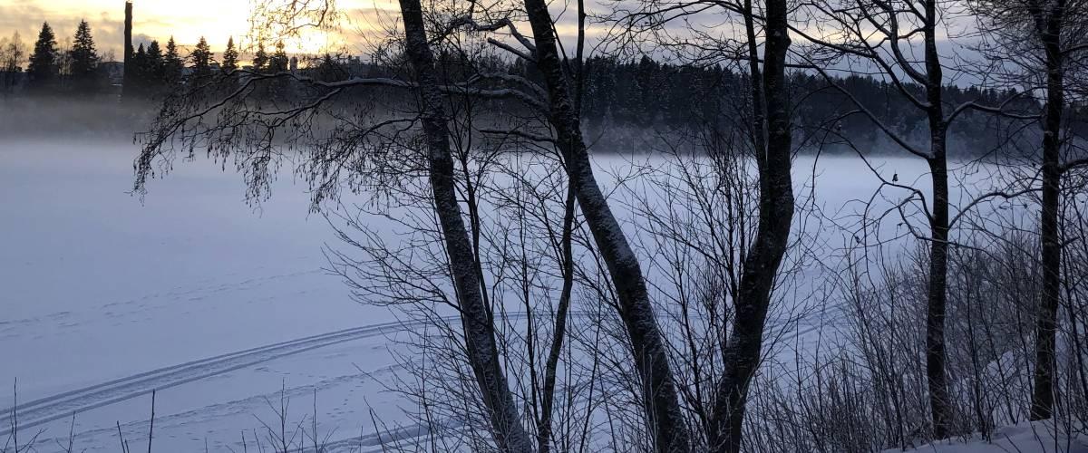 Skoterspår i slutet av Januari 2023