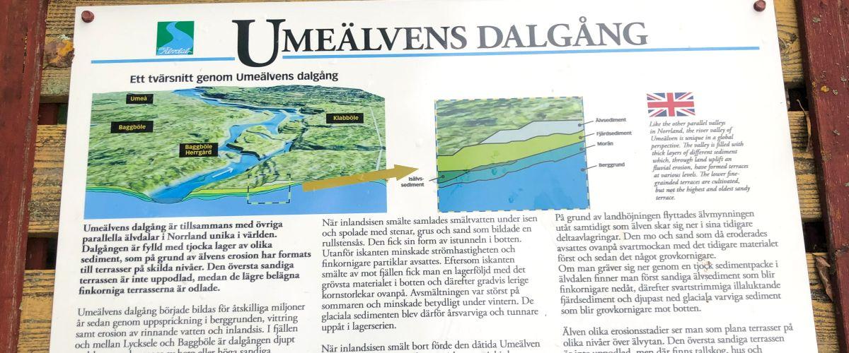 Fågeltorn