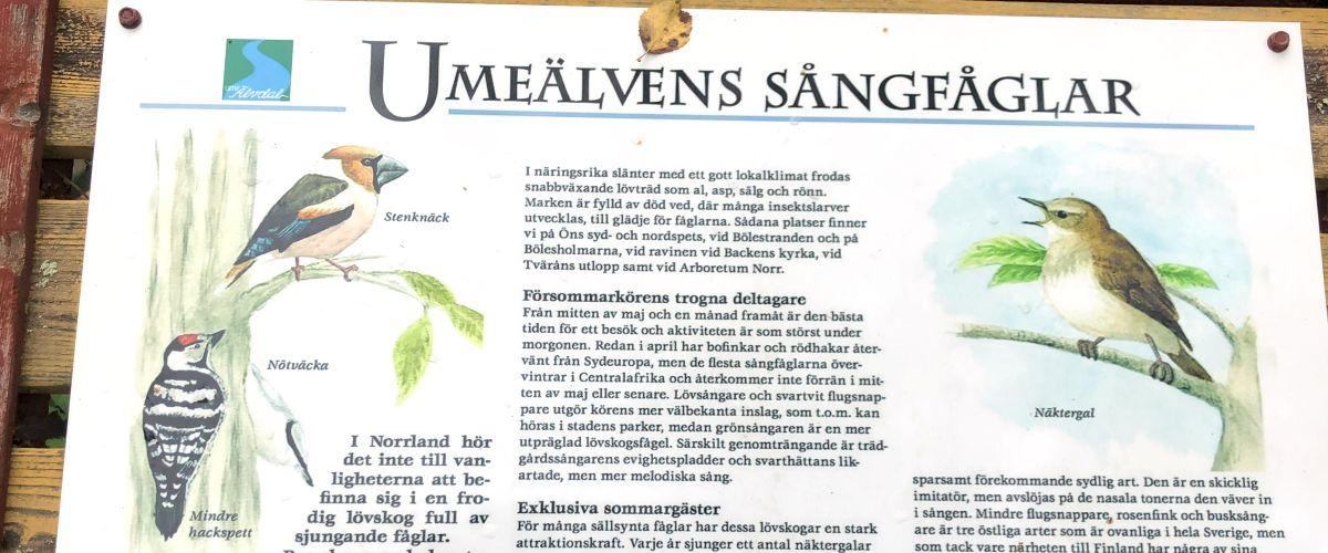 Fågeltornet