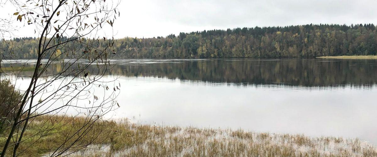 Fågeltorn