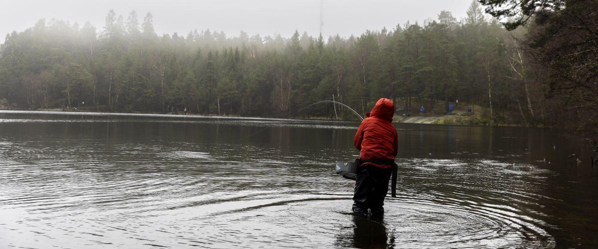 Fiskepremiär 2024