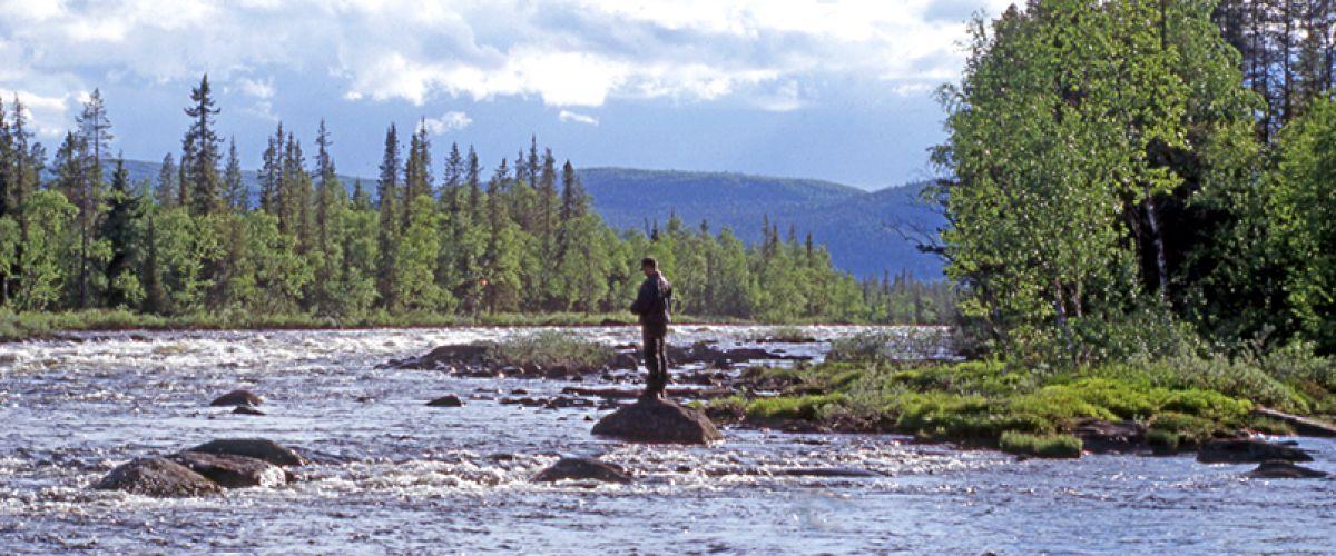 Photo of Jokkmokks Jakt & Fiske