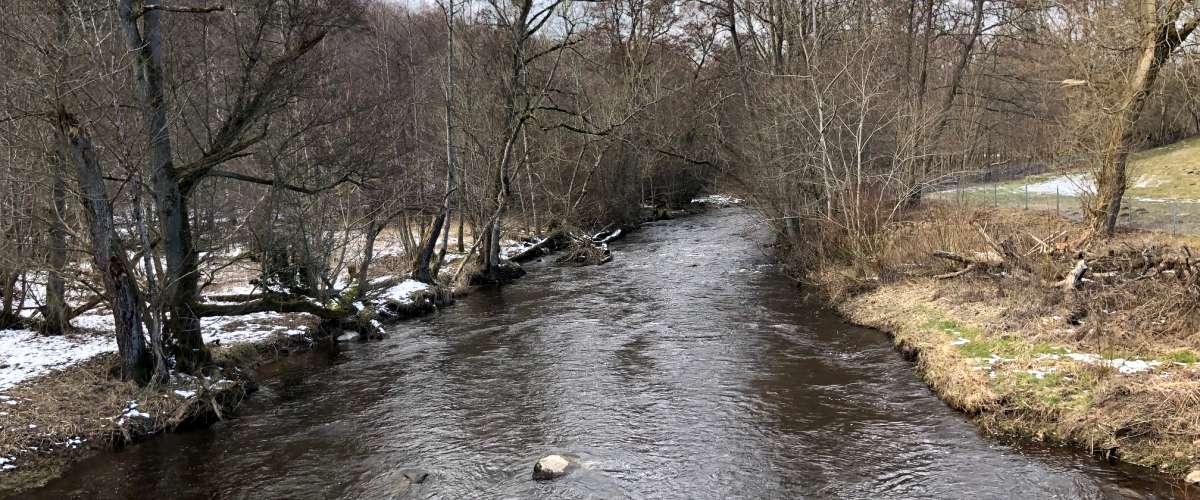 Rönne å Rössjöholmsån - Image 2
