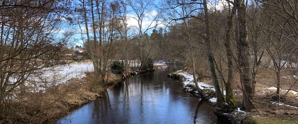 Rönne å Rössjöholmsån - Image 3