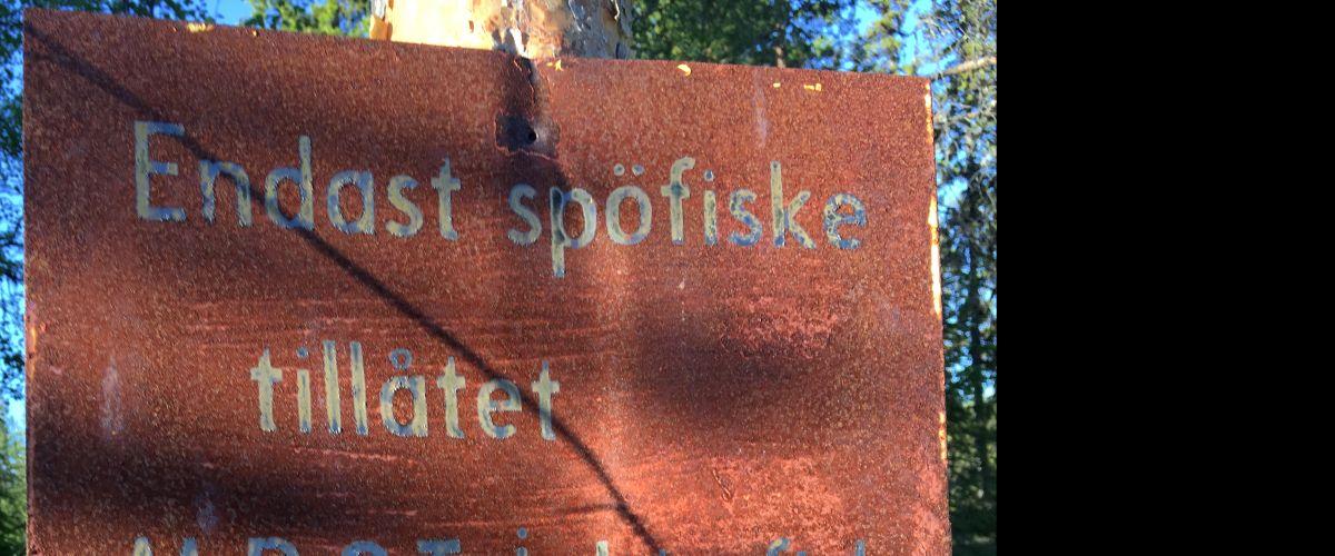 endast sportfiske