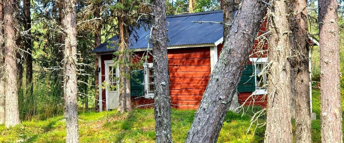 Malmbergets och Koskullskulles i Gällivare område - Image 9