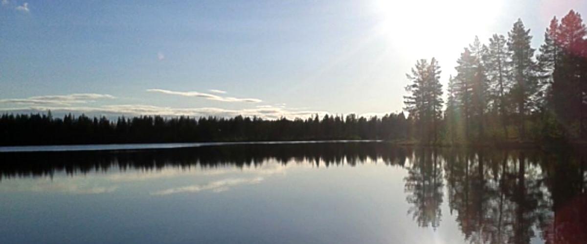 Malmbergets och Koskullskulles i Gällivare område - Image 5
