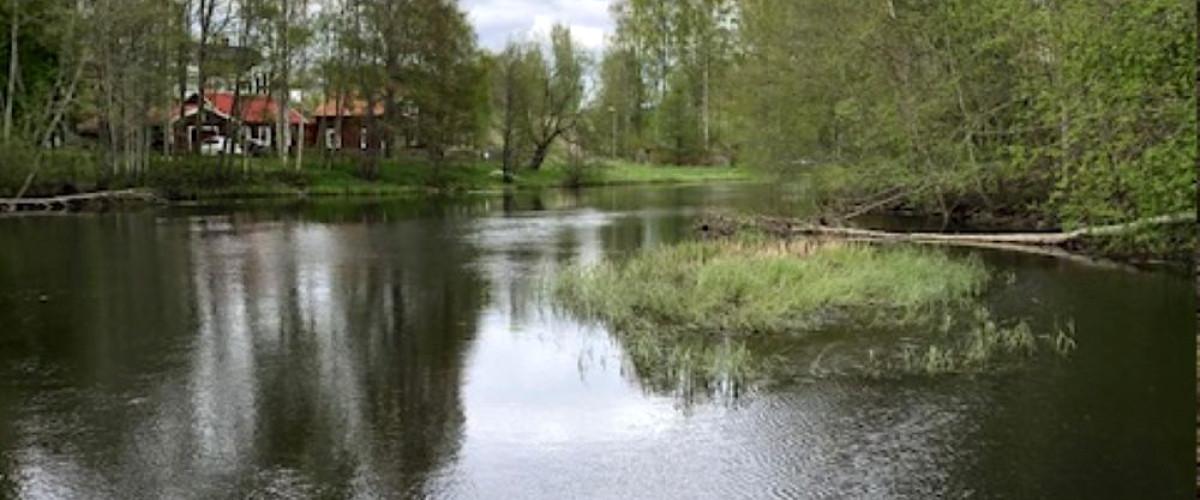 Nedre Gavleåns  - Image 1