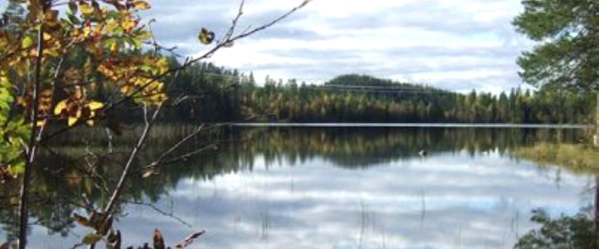 Långtjärn - Image 2