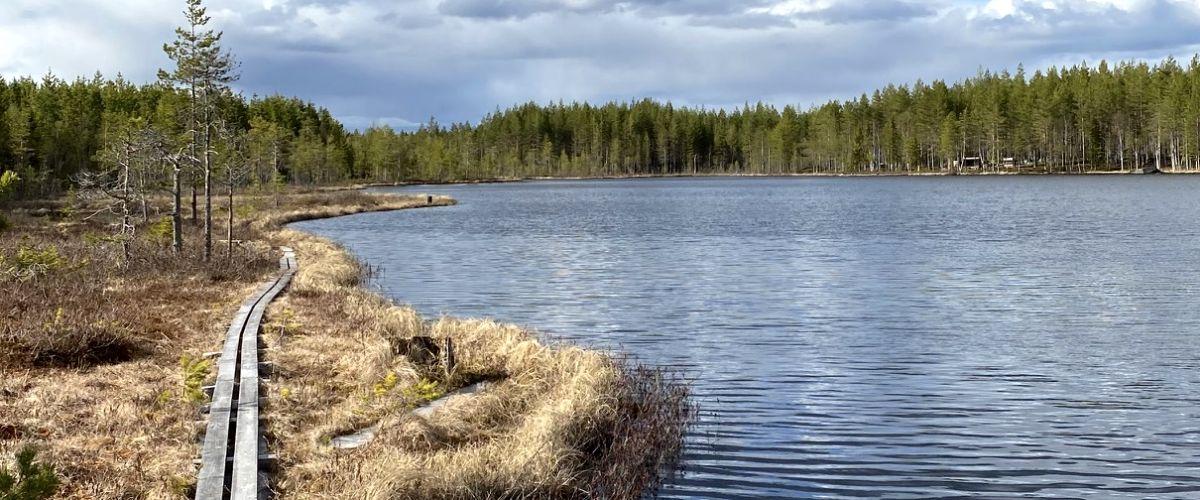 Haparanda SFK - Image 4