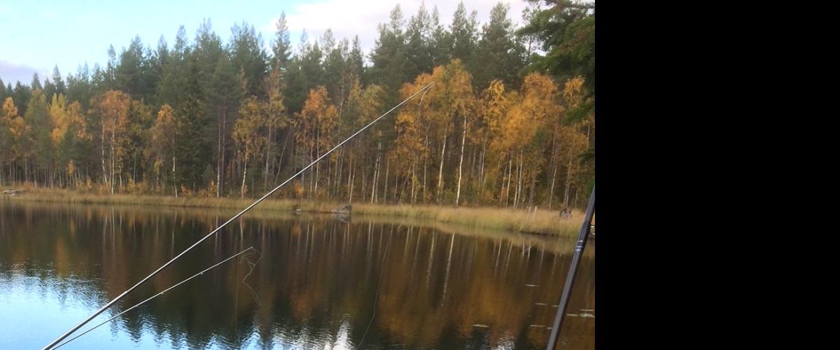 Haparanda SFK - Image 2
