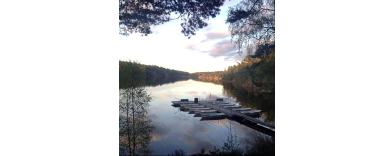 Gömmarens Fiske - Image 3