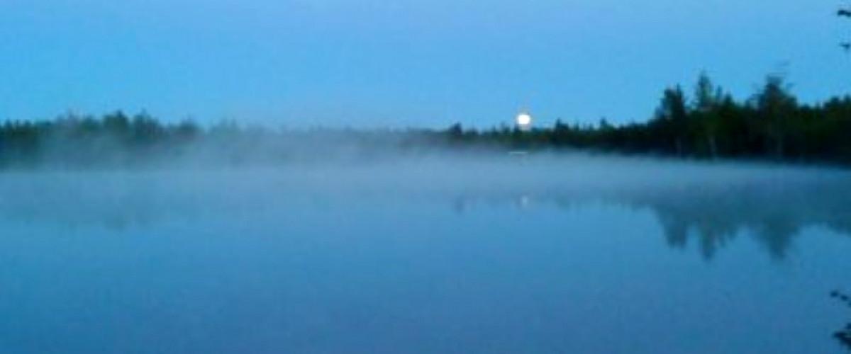 Håltjärn Uman - Image 2