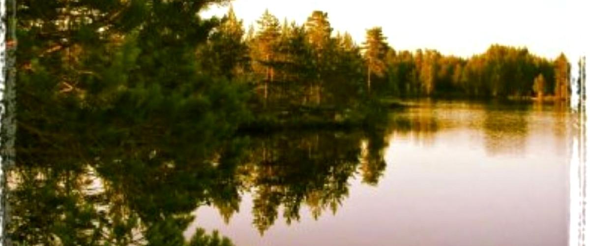Håltjärn Uman - Image 3
