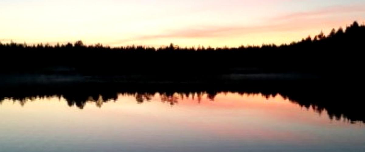 Håltjärn Uman - Image 5