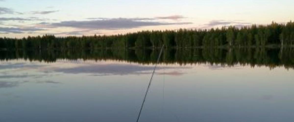 Håltjärn Uman - Image 6