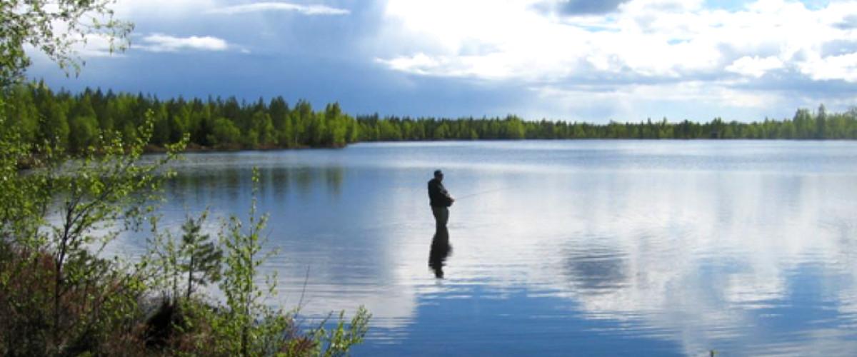 Håltjärn Uman - Image 1