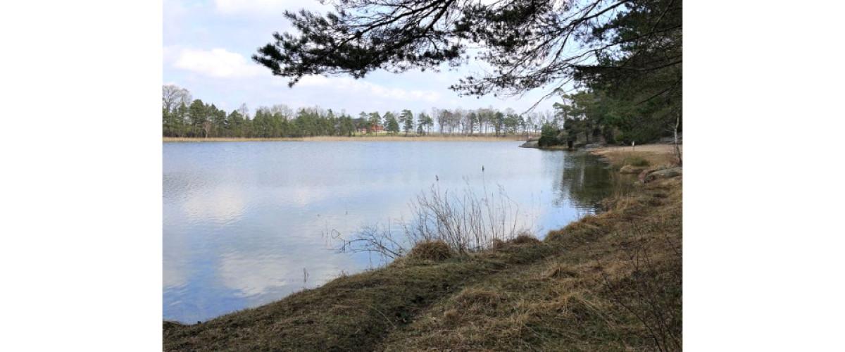 Etelhem - Image 3