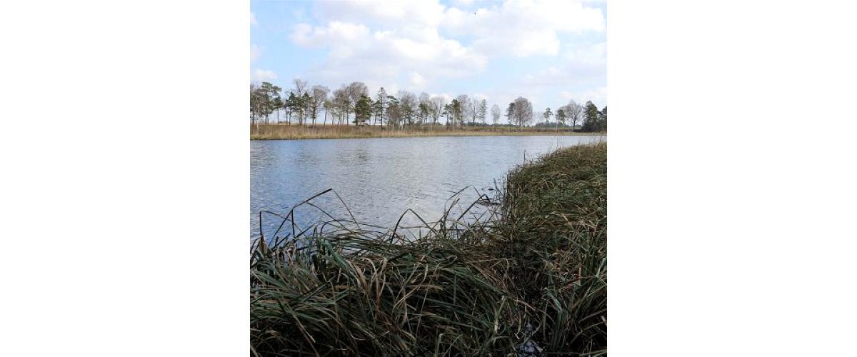Etelhem - Image 4