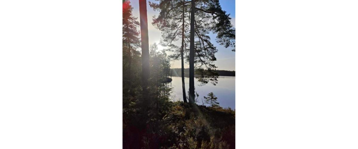 Norra Vallsjön - Image 3