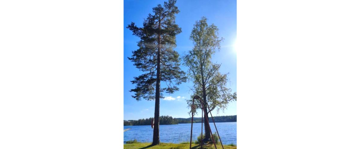 Norra Vallsjön - Image 4