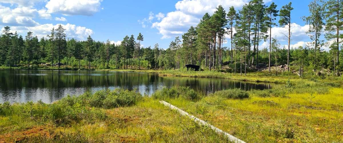 Kviddtjärn