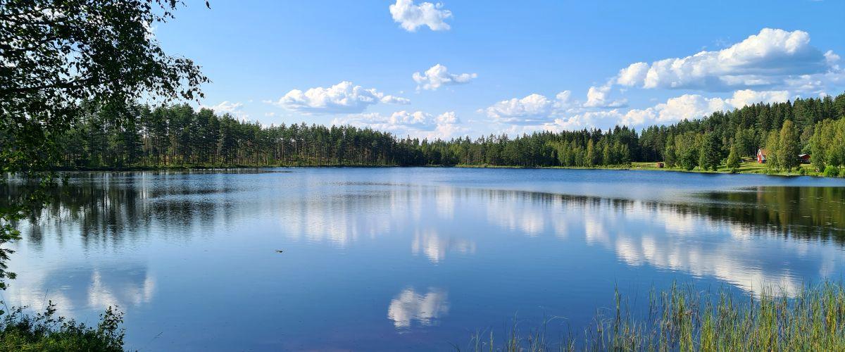 Hedtjärn
