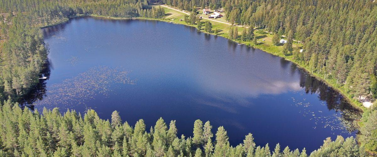 Hedtjärn