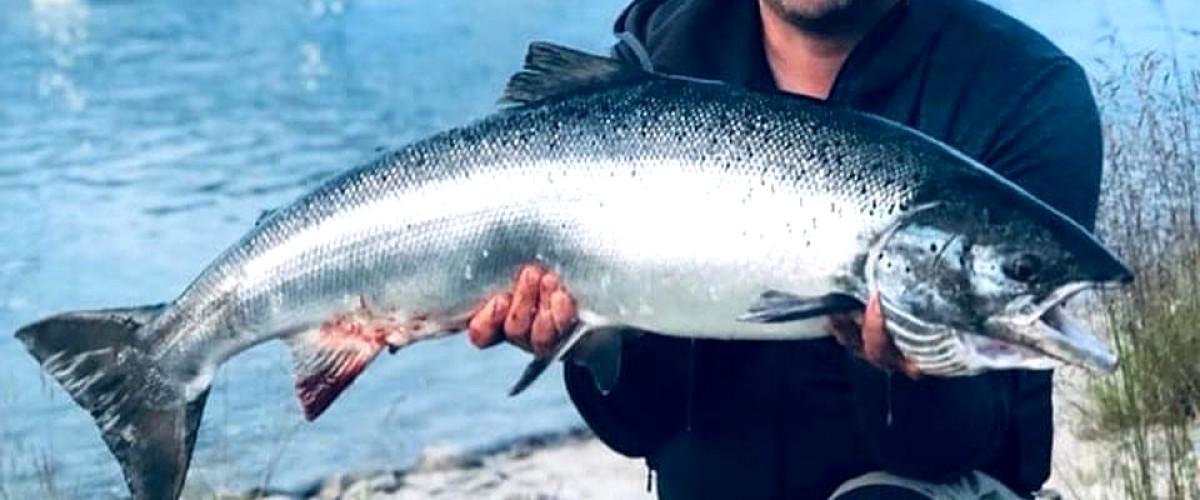 Bodens Lax och Öringsfiske - Image 13