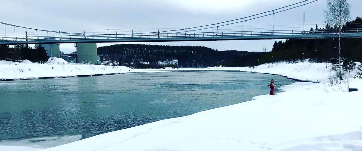 Bodens Lax och Öringsfiske - Image 14