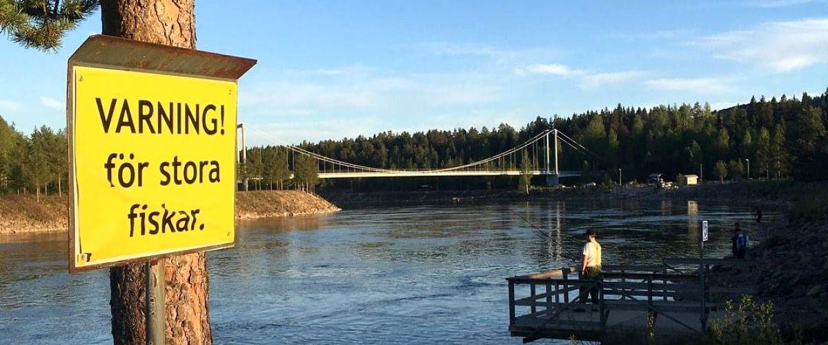 Bodens Lax och Öringsfiske - Image 15