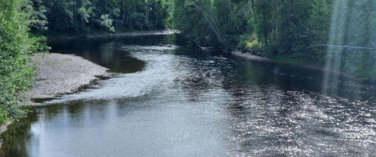 Lögdeälven-Västanfjället FVOF - Image 23