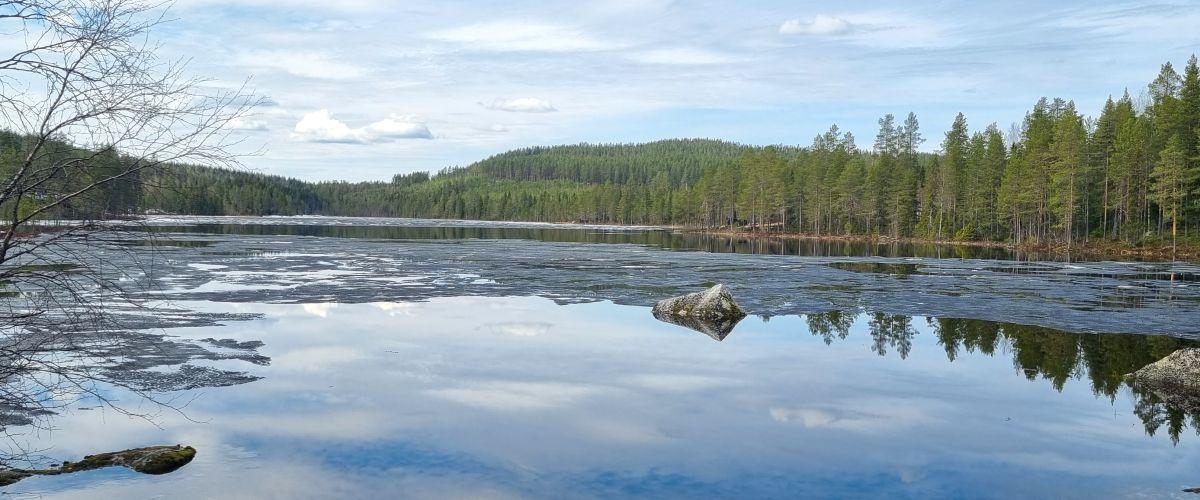 Blåtjärn vid islossning