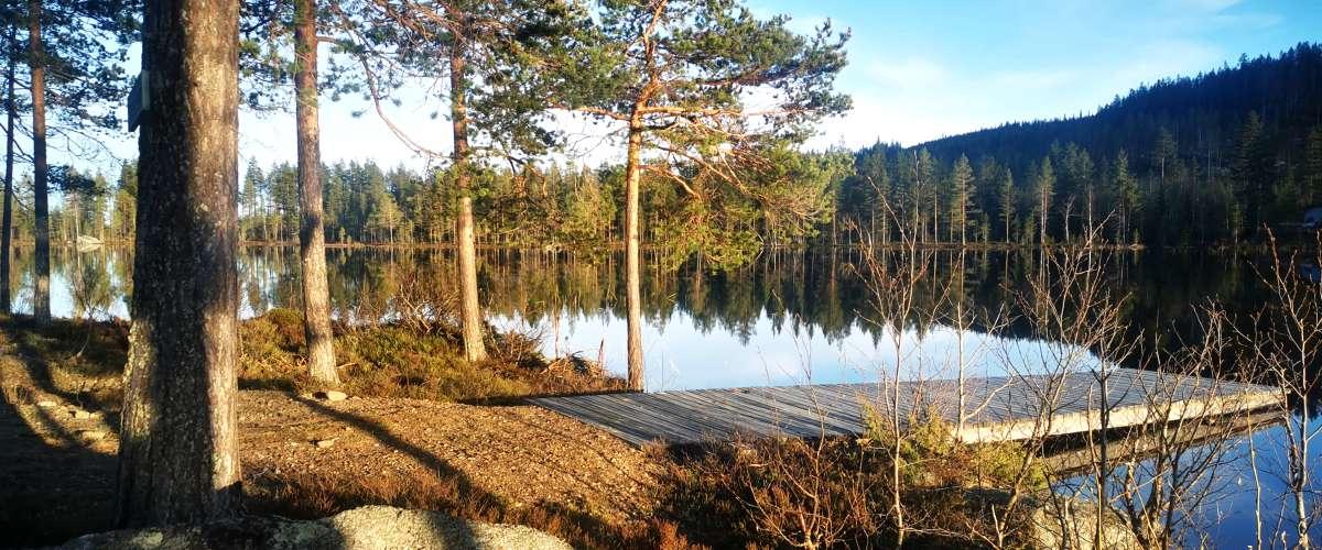Blåtjärn, Möjlighet att fiska från rullstol på bryggan.