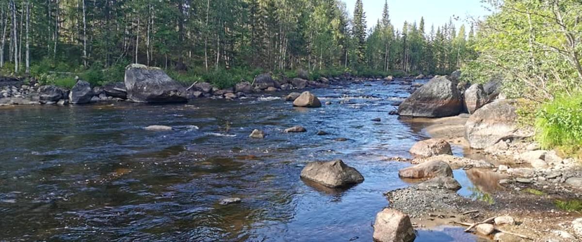 Långforsen nedre del