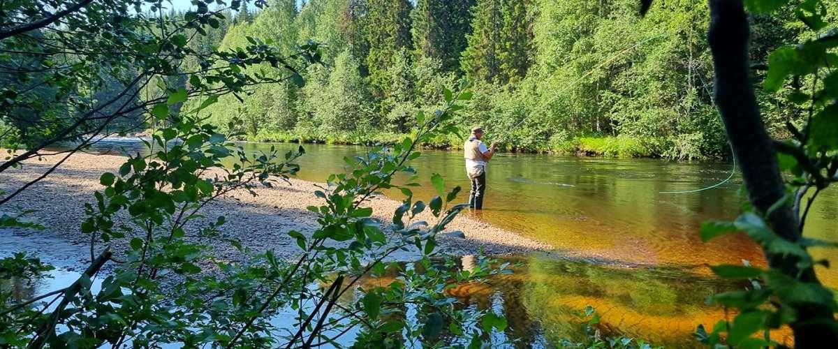 Nacken till "Lill Bjurn"