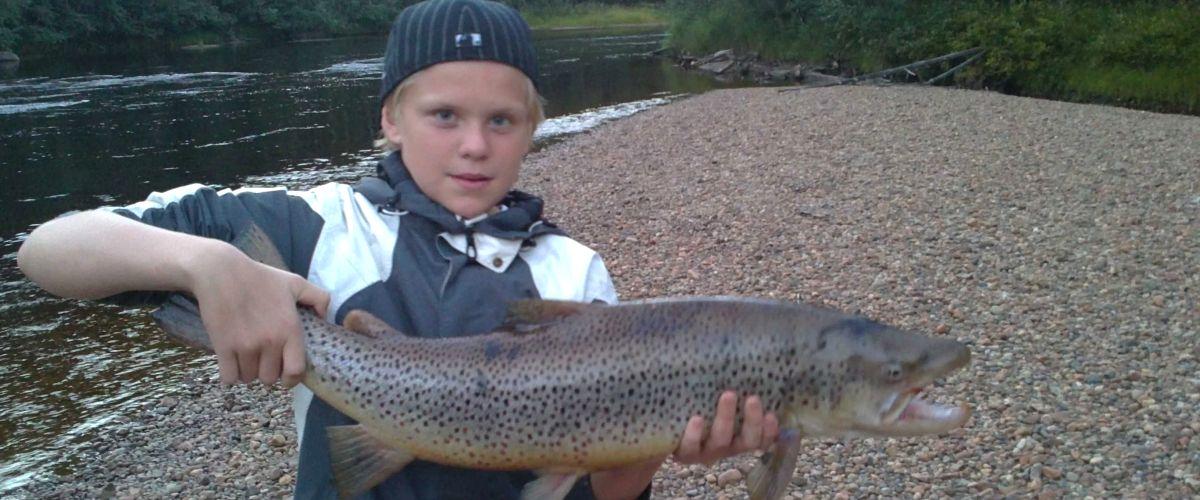 Lögdeälvs Havsöring 5,2 kg,