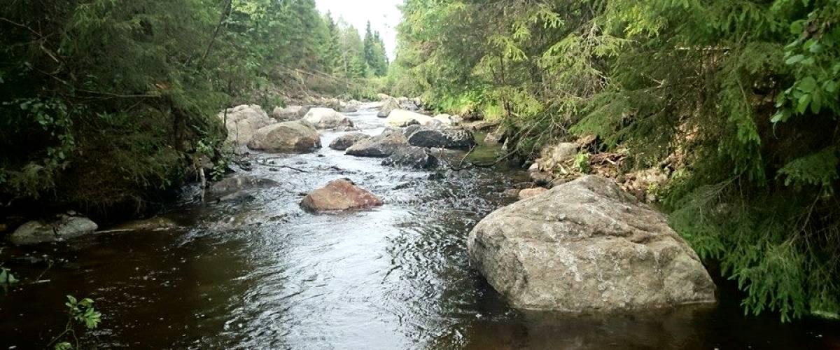 Svartforsen i Nedre Karlsbäcken