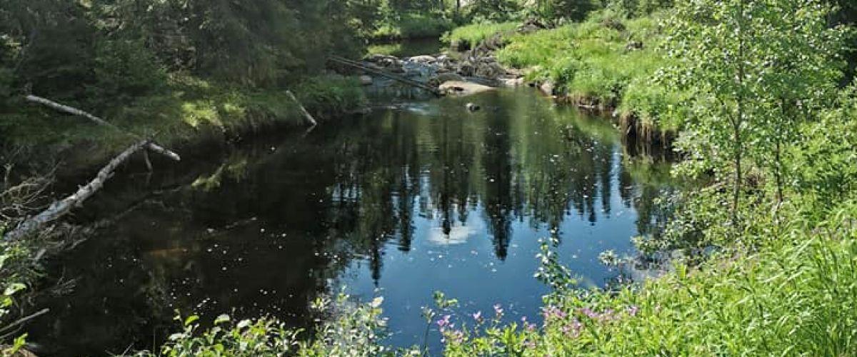 Övre Karlsbäcken