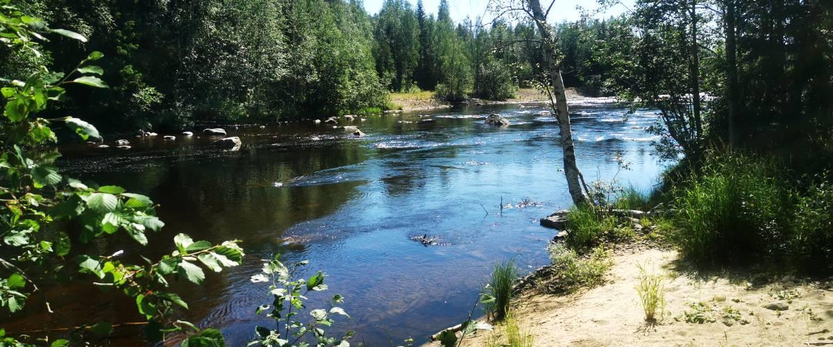 Storforsen, bra harr och öring  fiske, sen även lax från senare delen av juni.
