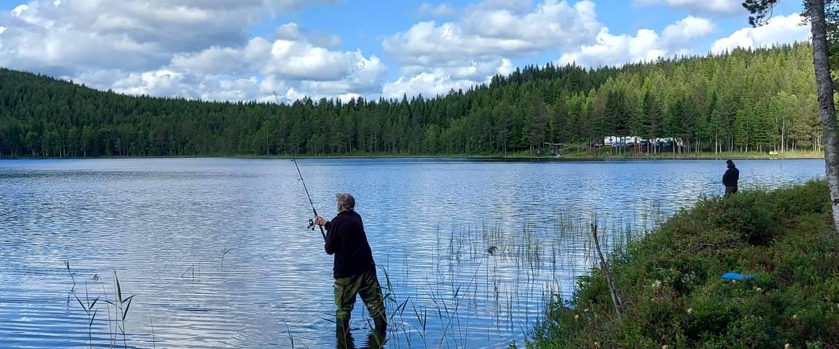 Norsjö SFK put-and-take vatten(Kattöggeltjärn/Ö.Bjärnstavatjärn) - Image 3