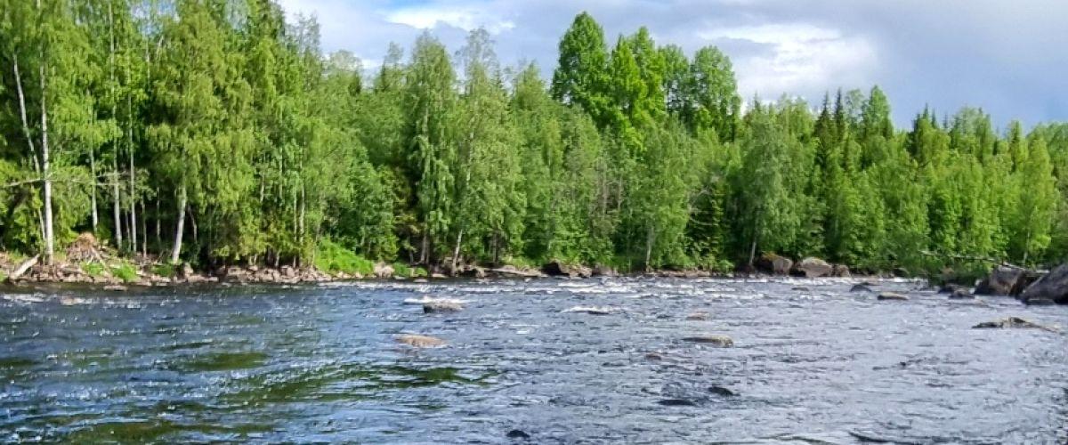 Långstrandsforsen