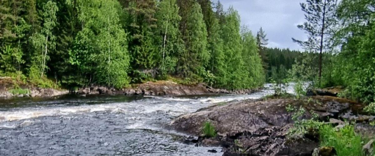 Gideälven (Mellan Björna KV till Gammelby KV) - Image 14