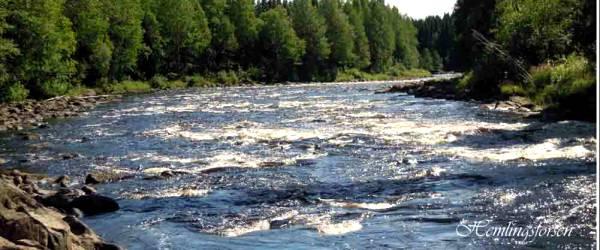 Gideälven (Mellan Björna KV till Gammelby KV) - Image 2