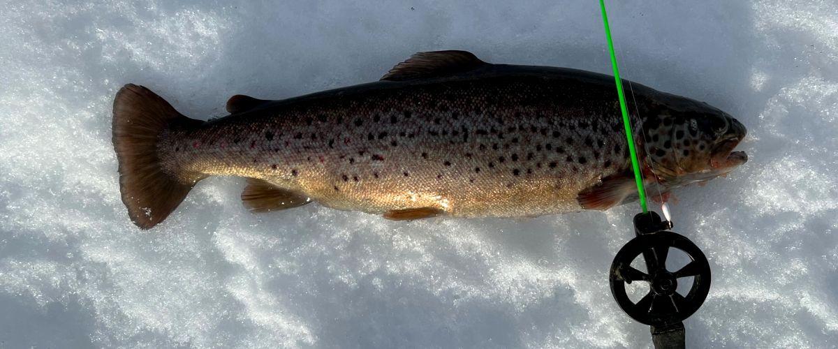 Storsjön, Långsjön, Kyrksjön, Matnäsviken, Svartsjön, Bartjärn mfl. - Image 8