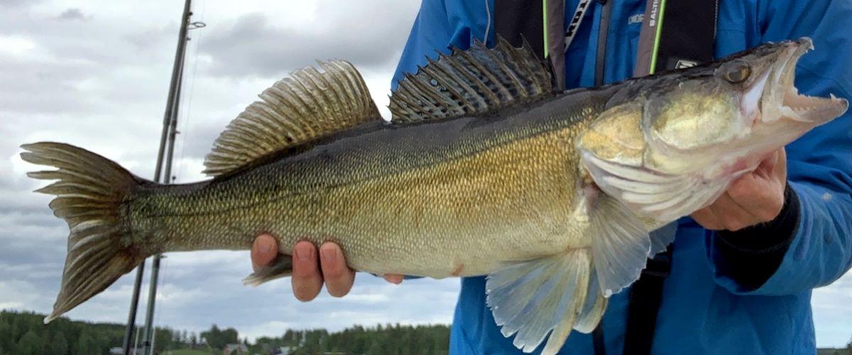 Storsjön, Långsjön, Kyrksjön, Matnäsviken, Svartsjön, Bartjärn mfl. - Image 11