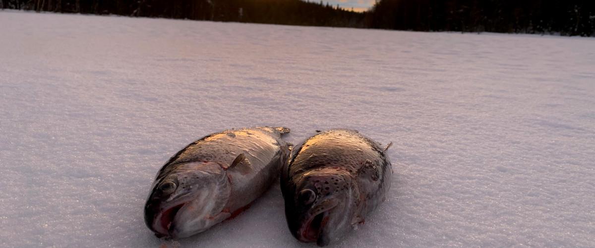 Storsjön, Långsjön, Kyrksjön, Matnäsviken, Svartsjön, Bartjärn mfl. - Image 5