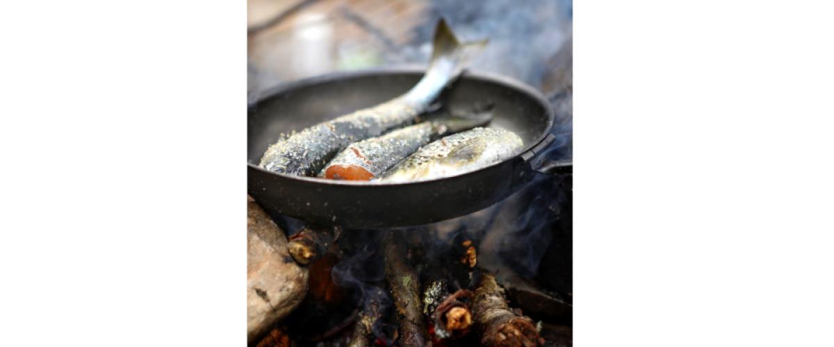 Sällsjö FVOF, Sällsjön, Baksjön med tillhörande vatten - Image 6
