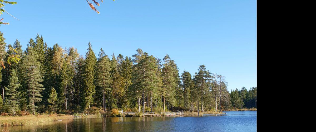 Photo of Södra Ånnabosjön