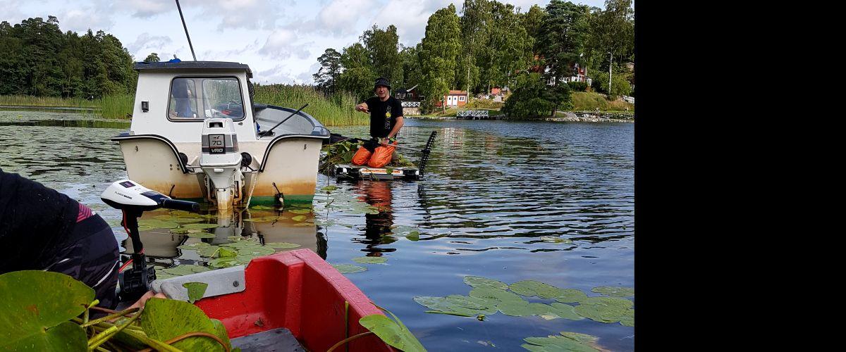 Vattenvård